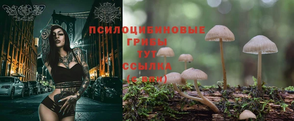 синтетический гашиш Балахна